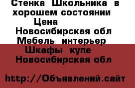 Стенка “Школьника” в хорошем состоянии › Цена ­ 10 000 - Новосибирская обл. Мебель, интерьер » Шкафы, купе   . Новосибирская обл.